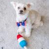 image:imageHuxley amp Kent Pet Bow Tie for Dogs amp Cats  4th of July Adjustable Hook amp Loop Collar Accessory  Cute amp Comfortable for Holidays amp Celebrations  Liberty SmallLiberty