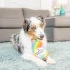 image:imageHuxley amp Kent for Dogs  FroYo Pride Cone Large  Funny Dog Toy  Power Plush Dog Toy with Squeaker  Dog Gift  Fun Durable  HampK Squeaky Dog ToyBubbling with Pride Chompagne