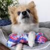 image:imageHuxley amp Kent for Dogs  Stars amp Stripes Donut Large  Power Plush Dog Toy with Squeaker  Funny Dog Gift  Fun Durable and Safe  HampK Squeaky Dog ToysUSA Pup Bone