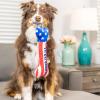 image:imageHuxley amp Kent for Dogs  Stars amp Stripes Donut Large  Power Plush Dog Toy with Squeaker  Funny Dog Gift  Fun Durable and Safe  HampK Squeaky Dog ToysLil Firecracker Bone