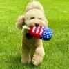 image:imageHuxley amp Kent for Dogs  Stars amp Stripes Donut Large  Power Plush Dog Toy with Squeaker  Funny Dog Gift  Fun Durable and Safe  HampK Squeaky Dog ToysStar Pop