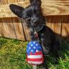 image:imageHuxley amp Kent for Dogs  Stars amp Stripes Donut Large  Power Plush Dog Toy with Squeaker  Funny Dog Gift  Fun Durable and Safe  HampK Squeaky Dog ToysStar Pop