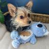 image:imageHuxley amp Kent Slappies for Dogs  Kirby Koala Small  Squeak amp Shake Dog Toy  No Stuff Squeaky Toy TPR Ball in Head  Simulates Hunting Nature for DogsSmall