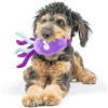 image:imageHuxley amp Kent Slappies for Dogs  Kirby Koala Small  Squeak amp Shake Dog Toy  No Stuff Squeaky Toy TPR Ball in Head  Simulates Hunting Nature for DogsLarge