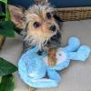 image:imageHuxley amp Kent Slappies for Dogs  Kirby Koala Small  Squeak amp Shake Dog Toy  No Stuff Squeaky Toy TPR Ball in Head  Simulates Hunting Nature for DogsSmall