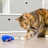 image:imageHuxley amp Kent Plush Cat Toy  4th of July Interactive Catnip Toy for Cats amp Kittens  Soft with Crinkle amp Catnip  Fun Indoor Play  Firecracker amp All Star Pawdka 2pkJelly Roll  Mewochewitz