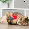 image:imageHuxley amp Kent Plush Cat Toy  4th of July Interactive Catnip Toy for Cats amp Kittens  Soft with Crinkle amp Catnip  Fun Indoor Play  Firecracker amp All Star Pawdka 2pkJelly Roll  Mewochewitz