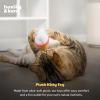 image:imageHuxley amp Kent Plush Cat Toy  Fall Interactive Catnip Toy for Cats amp Kittens  Soft with Crinkle amp Catnip  Fun Indoor Play  Meowww Spice LatteLatte My Way
