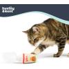 image:imageHuxley amp Kent Plush Cat Toy  Fall Interactive Catnip Toy for Cats amp Kittens  Soft with Crinkle amp Catnip  Fun Indoor Play  Meowww Spice LatteMeh Nog