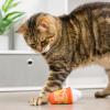 image:imageHuxley amp Kent Plush Cat Toy  Fall Interactive Catnip Toy for Cats amp Kittens  Soft with Crinkle amp Catnip  Fun Indoor Play  Meowww Spice LatteMeowww Spice Latte