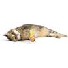 image:imageHuxley amp Kent Plush Cat Toy  Interactive Catnip Toy for Cats amp Kittens  Soft with Crinkle amp Catnip  Fun Indoor Play  Sardine TinFuzzy Soft Seltzer