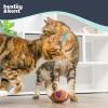 image:imageHuxley amp Kent Plush Cat Toy  Interactive Catnip Toy for Cats amp Kittens  Soft with Crinkle amp Catnip  Fun Indoor Play  Sardine TinHK Football