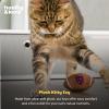 image:imageHuxley amp Kent Plush Cat Toy  Interactive Catnip Toy for Cats amp Kittens  Soft with Crinkle amp Catnip  Fun Indoor Play  Sardine TinHK Football