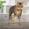 image:imageHuxley amp Kent Plush Cat Toy  Interactive Catnip Toy for Cats amp Kittens  Soft with Crinkle amp Catnip  Fun Indoor Play  Sardine TinIm Sweet Lollipop