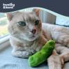 image:imageHuxley amp Kent Plush Cat Toy  Interactive Catnip Toy for Cats amp Kittens  Soft with Crinkle amp Catnip  Fun Indoor Play  Sardine TinPickle