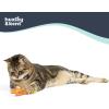 image:imageHuxley amp Kent Plush Cat Toy  Interactive Catnip Toy for Cats amp Kittens  Soft with Crinkle amp Catnip  Fun Indoor Play  Sardine TinRoscos Fluffer Puffs