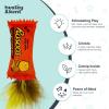 image:imageHuxley amp Kent Plush Cat Toy  Interactive Catnip Toy for Cats amp Kittens  Soft with Crinkle amp Catnip  Fun Indoor Play  Sardine TinRoscos Fluffer Puffs