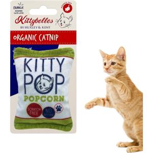 image:imageHuxley amp Kent Plush Cat Toy  Interactive Catnip Toy for Cats amp Kittens  Soft with Crinkle amp Catnip  Fun Indoor Play  Sardine TinKitty Pop