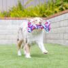 image:imageHuxley amp Kent Funny Dog Toy wSqueaker  Power Plush Squeaky Dog Toys for Small Medium amp Large Dogs  Soft Stuffed Animal for Indoor Play amp Fetch  Rocket Man LargeUSA Pup Bone
