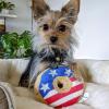 image:imageHuxley amp Kent Funny Dog Toy wSqueaker  Power Plush Squeaky Dog Toys for Small Medium amp Large Dogs  Soft Stuffed Animal for Indoor Play amp Fetch  Rocket Man LargeStars  Stripes Donut