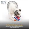 image:imageHuxley amp Kent Funny Dog Toy wSqueaker  Power Plush Squeaky Dog Toys for Small Medium amp Large Dogs  Soft Stuffed Animal for Indoor Play amp Fetch  Rocket Man LargeRocket Man