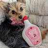 image:imageHuxley amp Kent Funny Dog Toy wSqueaker  Power Plush Squeaky Dog Toys for Small Medium amp Large Dogs  Soft Stuffed Animal for Indoor Play amp Fetch  Love Pawtion No K10 SmallLarge