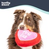 image:imageHuxley amp Kent Funny Dog Toy wSqueaker  Power Plush Squeaky Dog Toys for Small Medium amp Large Dogs  Soft Stuffed Animal for Indoor Play amp Fetch  Love Pawtion No K10 SmallSmall