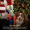 image:imageHuxley amp Kent for Dogs  Holiday Cheer Beer Large  Holiday Christmas Power Plush Dog Toy with Squeaker  Funny Dog Gift  Fun Durable and Safe  HampK Squeaky Dog ToysHoliday Cheer Beer