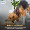 image:imageHuxley amp Kent for Dogs  Holiday Cheer Beer Large  Holiday Christmas Power Plush Dog Toy with Squeaker  Funny Dog Gift  Fun Durable and Safe  HampK Squeaky Dog ToysLit Donut