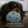 image:imageHuxley amp Kent Funny Dog Toy wSqueaker  Holiday Power Plush Squeaky Dog Toys for Small Medium amp Large Dogs  Soft Stuffed Animal for Indoor Play amp Fetch  Mannychewsit Wine One SizeJelly Roll