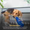 image:imageHuxley amp Kent Funny Dog Toy wSqueaker  Holiday Power Plush Squeaky Dog Toys for Small Medium amp Large Dogs  Soft Stuffed Animal for Indoor Play amp Fetch  Mannychewsit Wine One SizeMannychewsit Wine