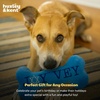 image:imageHuxley amp Kent Funny Dog Toy wSqueaker  Holiday Power Plush Squeaky Dog Toys for Small Medium amp Large Dogs  Soft Stuffed Animal for Indoor Play amp Fetch  Mannychewsit Wine One SizeJoy Vey Bone