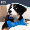 image:imageHuxley amp Kent Funny Dog Toy wSqueaker  Holiday Power Plush Squeaky Dog Toys for Small Medium amp Large Dogs  Soft Stuffed Animal for Indoor Play amp Fetch  Mannychewsit Wine One SizeJoy Vey Bone