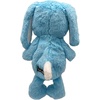 image:imageHuxley amp Kent Funny Dog Toy wSqueaker  Power Plush Squeaky Dog Toys for Small Medium amp Large Dogs  Soft Stuffed Animal for Indoor Play amp Fetch  Fetchies Sammy Sausage LargeSmall
