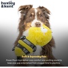 image:imageHuxley amp Kent Funny Dog Toy wSqueaker  Power Plush Squeaky Dog Toys for Small Medium amp Large Dogs  Soft Stuffed Animal for Indoor Play amp Fetch  Fetchies Sammy Sausage LargeSmall