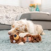 image:imageHuxley amp Kent Funny Dog Toy wSqueaker  Power Plush Squeaky Dog Toys for Small Medium amp Large Dogs  Soft Stuffed Animal for Indoor Play amp Fetch  Fetchies Sammy Sausage LargeSmall