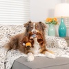 image:imageHuxley amp Kent Funny Dog Toy wSqueaker  Power Plush Squeaky Dog Toys for Small Medium amp Large Dogs  Soft Stuffed Animal for Indoor Play amp Fetch  Fetchies Sammy Sausage LargeLarge