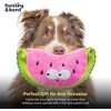image:imageHuxley amp Kent Funny Dog Toy wSqueaker  Power Plush Squeaky Dog Toys for Small Medium amp Large Dogs  Soft Stuffed Animal for Indoor Play amp Fetch  Fetchies Sammy Sausage LargeSmall