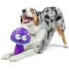 image:imageHuxley amp Kent Funny Dog Toy wSqueaker  Power Plush Squeaky Dog Toys for Small Medium amp Large Dogs  Soft Stuffed Animal for Indoor Play amp Fetch  Fetchies Sammy Sausage LargeSmall