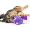 image:imageHuxley amp Kent Funny Dog Toy wSqueaker  Power Plush Squeaky Dog Toys for Small Medium amp Large Dogs  Soft Stuffed Animal for Indoor Play amp Fetch  Fetchies Sammy Sausage LargeSmall