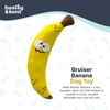 image:imageHuxley amp Kent Funny Dog Toy wSqueaker  Power Plush Squeaky Dog Toys for Small Medium amp Large Dogs  Soft Stuffed Animal for Indoor Play amp Fetch  Fetchies Sammy Sausage LargeSmall