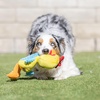 image:imageHuxley amp Kent Funny Dog Toy wSqueaker  Power Plush Squeaky Dog Toys for Small Medium amp Large Dogs  Soft Stuffed Animal for Indoor Play amp Fetch  Fetchies Sammy Sausage LargeSmall