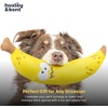 image:imageHuxley amp Kent Funny Dog Toy wSqueaker  Power Plush Squeaky Dog Toys for Small Medium amp Large Dogs  Soft Stuffed Animal for Indoor Play amp Fetch  Fetchies Sammy Sausage LargeSmall