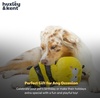 image:imageHuxley amp Kent Funny Dog Toy wSqueaker  Power Plush Squeaky Dog Toys for Small Medium amp Large Dogs  Soft Stuffed Animal for Indoor Play amp Fetch  Fetchies Sammy Sausage LargeLarge