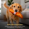 image:imageHuxley amp Kent Funny Dog Toy wSqueaker  Power Plush Squeaky Dog Toys for Small Medium amp Large Dogs  Soft Stuffed Animal for Indoor Play amp Fetch  Fetchies Sammy Sausage LargeSmall