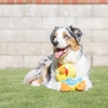 image:imageHuxley amp Kent Funny Dog Toy wSqueaker  Power Plush Squeaky Dog Toys for Small Medium amp Large Dogs  Soft Stuffed Animal for Indoor Play amp Fetch  Fetchies Sammy Sausage LargeSmall