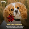 image:imageHuxley amp Kent Pet Pinwheel  Buffalo amp Snow Small  Christmas Holiday Collar Accessory for DogsCats  Bow Collar Attachment  Cute Comfortable Accessory  HampK Pinwheel for PetsBuffalo Check