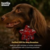 image:imageHuxley amp Kent Pet Pinwheel  Buffalo amp Snow Small  Christmas Holiday Collar Accessory for DogsCats  Bow Collar Attachment  Cute Comfortable Accessory  HampK Pinwheel for PetsMerry Llamas