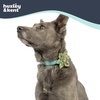 image:imageHuxley amp Kent Pet Pinwheel  Buffalo amp Snow Small  Christmas Holiday Collar Accessory for DogsCats  Bow Collar Attachment  Cute Comfortable Accessory  HampK Pinwheel for PetsHo Ho Ho