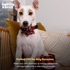 image:imageHuxley amp Kent Pet Pinwheel  Buffalo amp Snow Small  Christmas Holiday Collar Accessory for DogsCats  Bow Collar Attachment  Cute Comfortable Accessory  HampK Pinwheel for PetsBuffalo  Snow